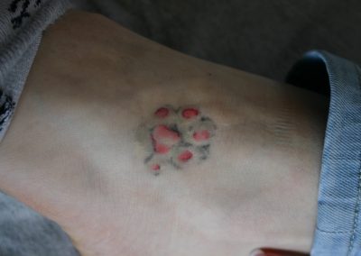 zampetta cane gatto tatuaggio Bologna