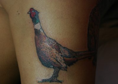 piercing via Goito bologna tatuaggio tatuaggi