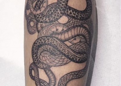 snakes serpenti tattoo Tatuaggi Bologna franziskaevengelista
